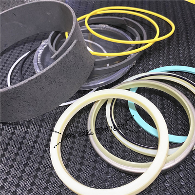 2478878 4560209 5185135 Kit de vedação de cilindros hidráulicos para escavadeiras