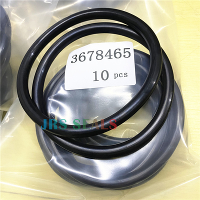 3678465 SEAL ORING NBR GOMAS